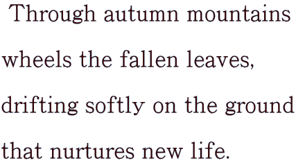  Through autumn mountains  wheels the fallen leaves,  drifting softly on the ground  that nurtures new life.